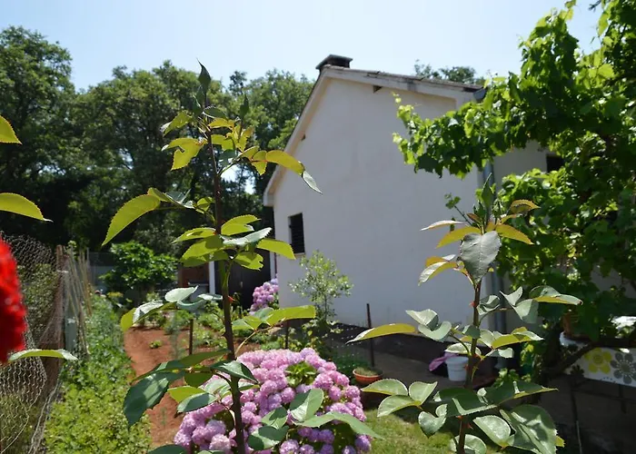 Vakantiehuis Leni Fažana