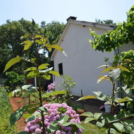 Ferienhaus Holiday Leni Fažana